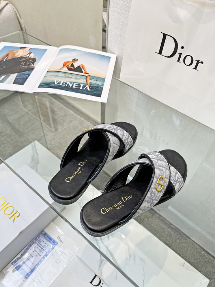 D1OR Slides